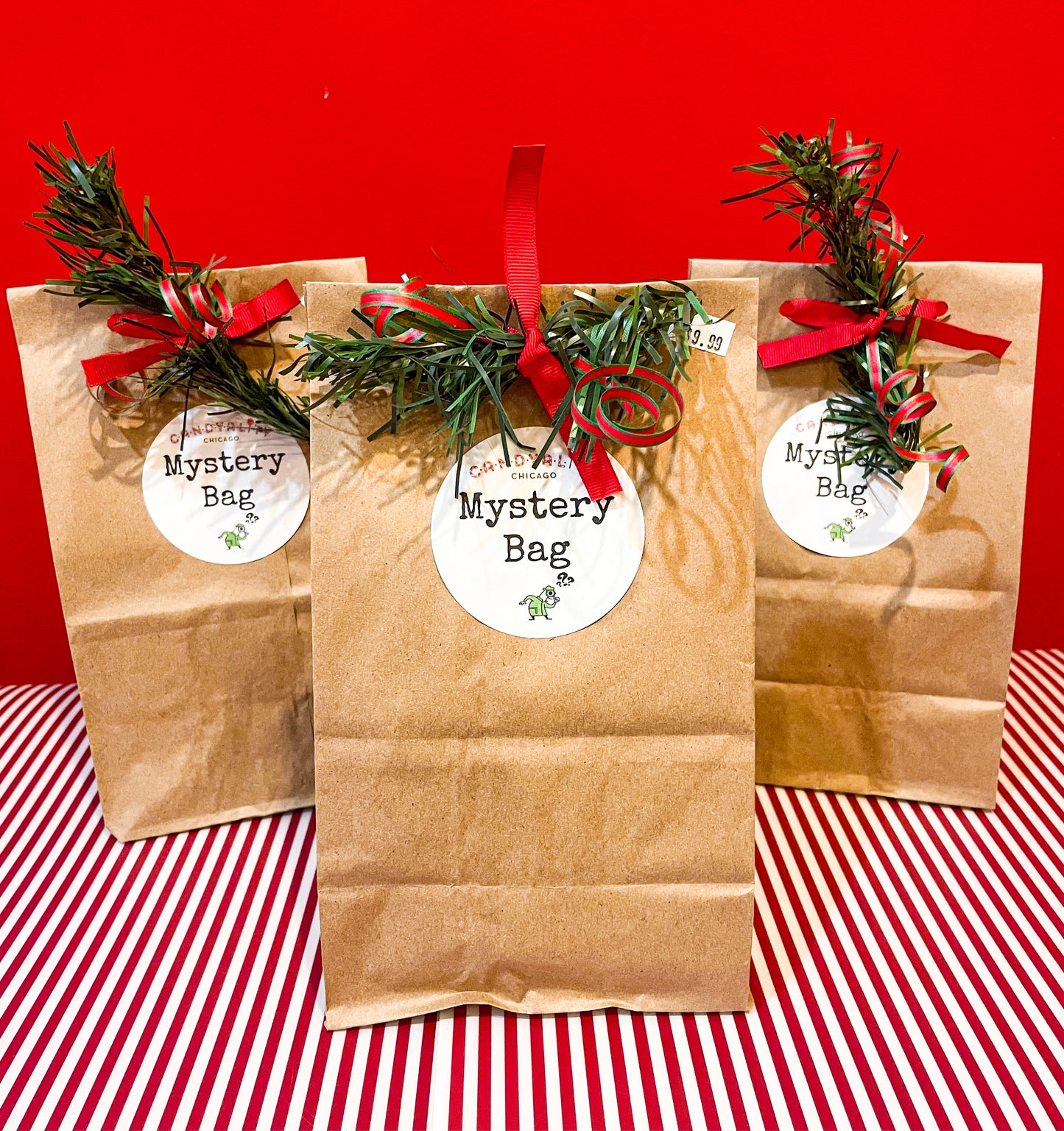 Holiday Mystery Bag